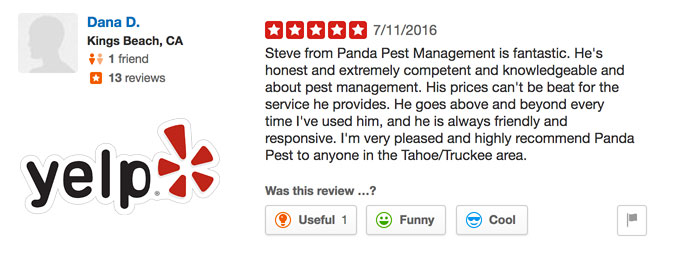panda-pest-management-yelp-review