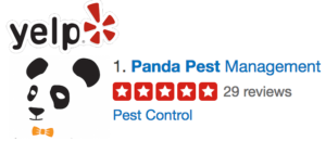 panda-yelp-banner