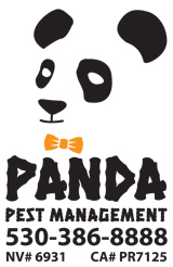 panda-logo-lic