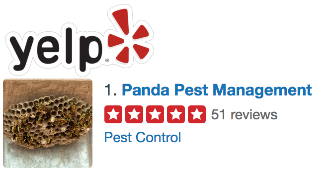 yelp panda pest management